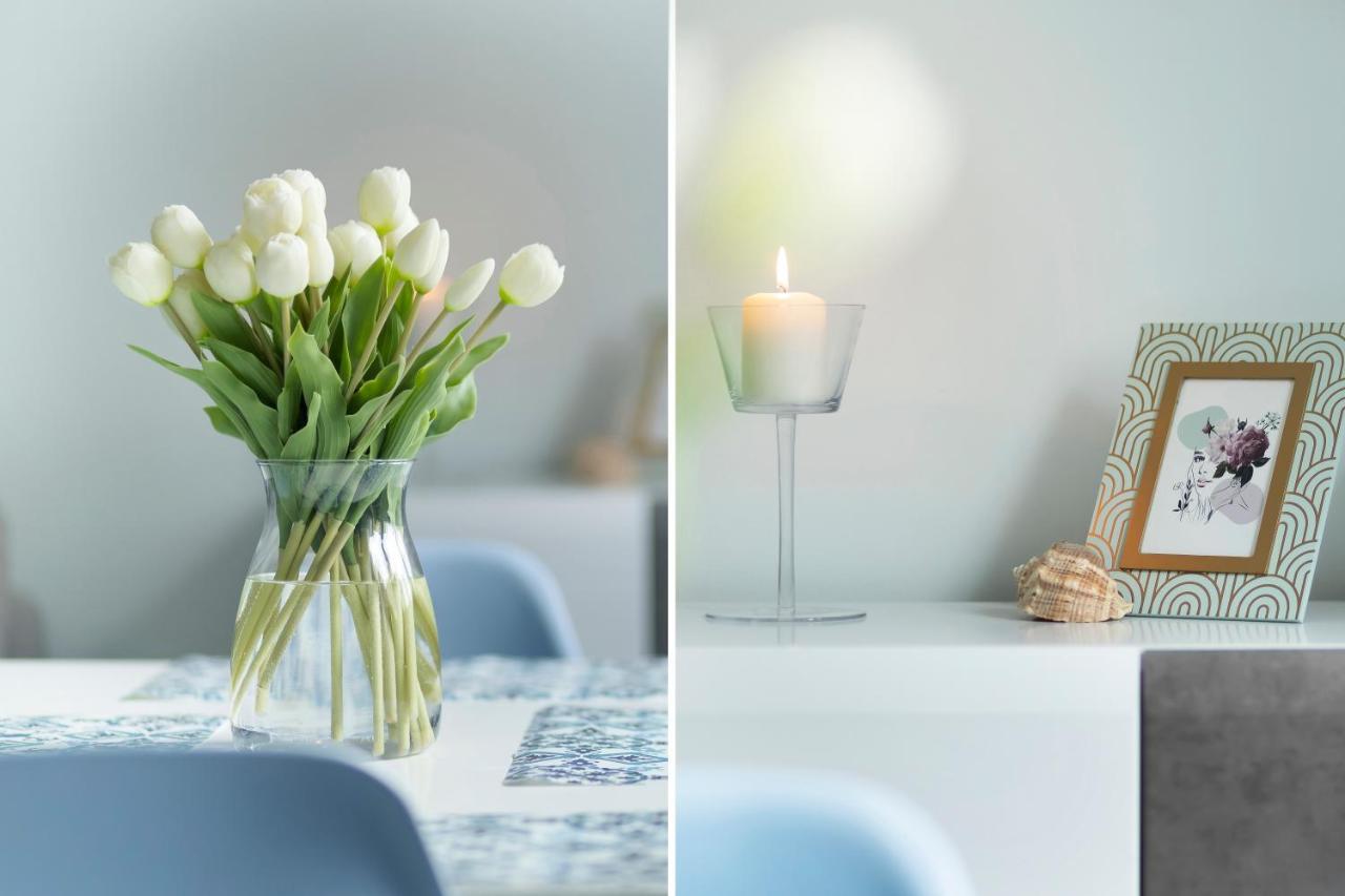 Apartment Elite Brzezno Family